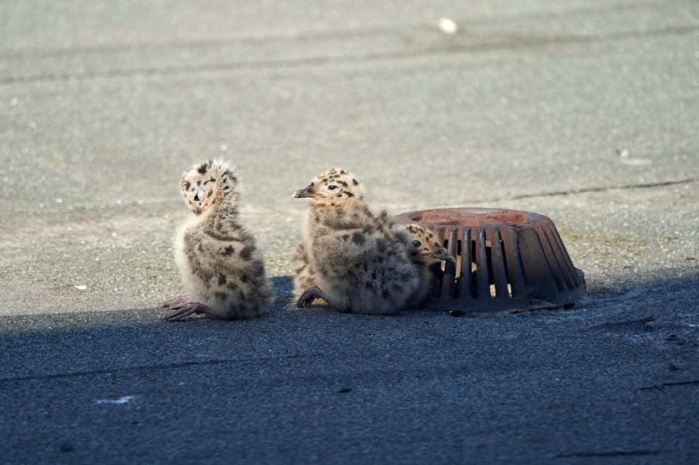 Revolutionerende ideer til dit hjem: Multi Living er svaret!